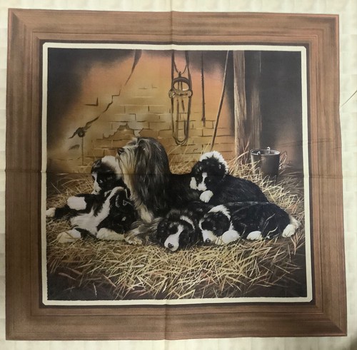 Dog pattern cushion kit - 28,