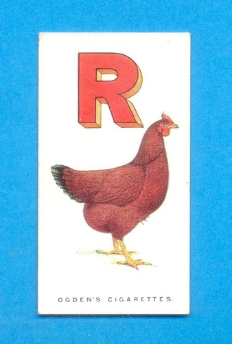 Poultry alphabet rhode - poultry, alphabet.no.18.rhode