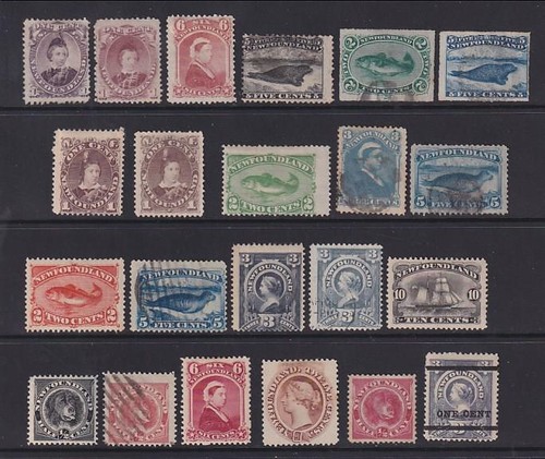 Newfoundland 1868 1897 - newfoundland.,