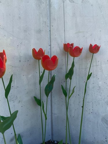 Metal tulips art - 11,