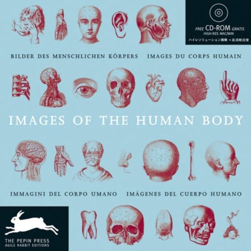 Images the human body - images,