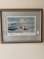 Ice Wilderness By David Shepherd, Limited Edition Polar Bear Print