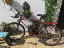 womens Mountain Bike Carrera