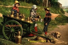 DOGS - GENT, Belgium - Milk