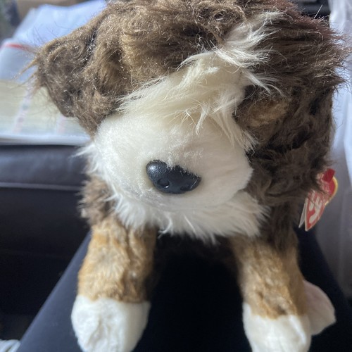 Buddy mugsy - ty,