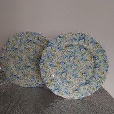 Queens China English Chintz