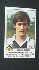 #218 ATTILIO TESSER UDINESE ZEBRETTE FOOTBALL FOOTBALL FOOTBALL FOOTBALLERS 1984-1985 EDIS