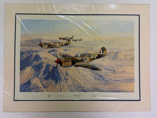 Desert hawks robert - desert, by