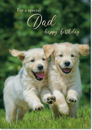 Doodlecards dad birthday card - dad,