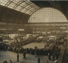 Crufts Dog Show Olympia London
