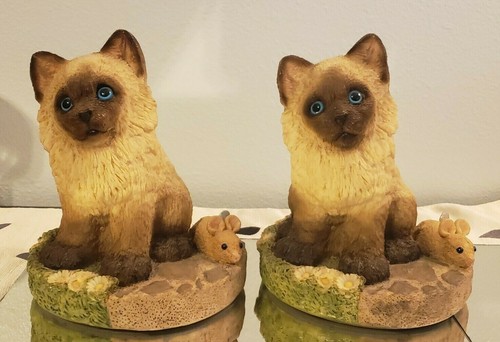 Vintage himalayan cat kittens - vintage,
