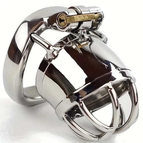 Stainless steel penis - steel,