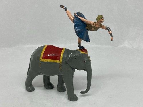 Performing circus elephant - circus,