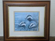 Signed Framed Badger Wildlife