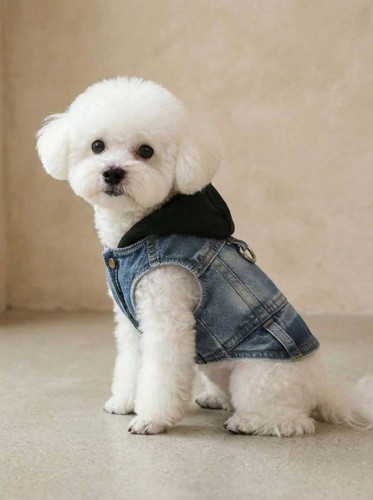 Cozy hooded harness - hooded, for