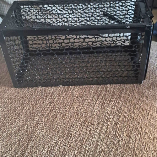 Catch mouse trap - trap, reusable