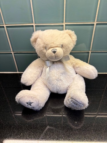 White teddy bear 2020 - teddy,