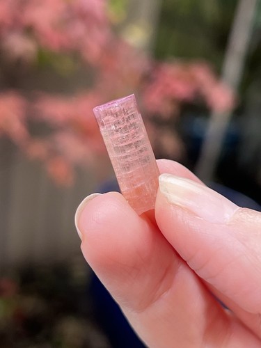 Pink tourmaline rod terminated - pink,