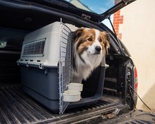 Henry Wag Air Kennel