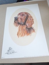 Josephine Copley Red Setter Dog Print Decorative 1995 Signed Artwork 345x228mm