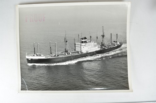 Cargo ship abbekerk - ship,