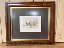FRAMED AND MOUNTED WHIPPET SIGNED NUMBERED LIMITED EDITION ETCHING BY SIMON BULL