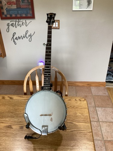 1960 gibson sting banjo - 1960,