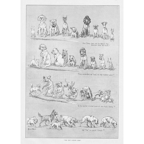 Louis wain the new - louis,