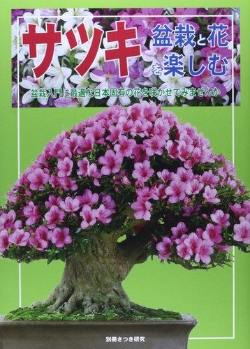 Satsuki enjoying bonsai and - satsuki:,