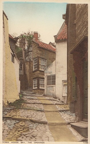 Yorkshire postcard robin - yorkshire,