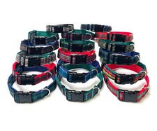 Tartan Dog Collar 25mm Wide