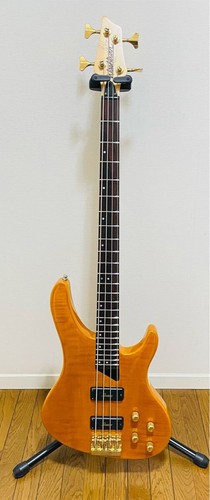 Washburn 1250 kip - kip, winger
