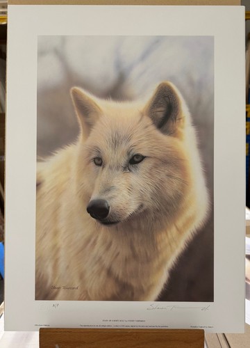 Steven townsend study - steven,