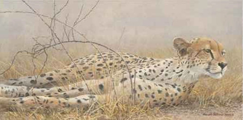 Robert bateman londolsi - robert,