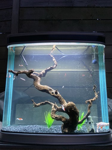 Boyu tall fish tank - boyu,