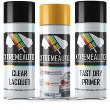 Aerosol Spray Paint For Audi
