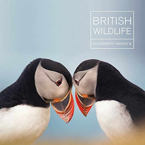 British wildlife photography - british,