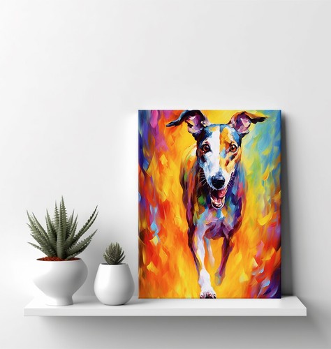 Greyhound dog colourful animal - greyhound,