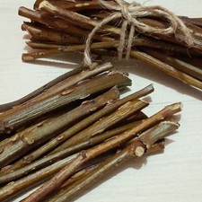 Organic Wild Blackberry Sticks Pet Chew Toy for Rabbits Guinea Pigs Chinchillas 