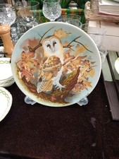Coalport Long Eared Owl by