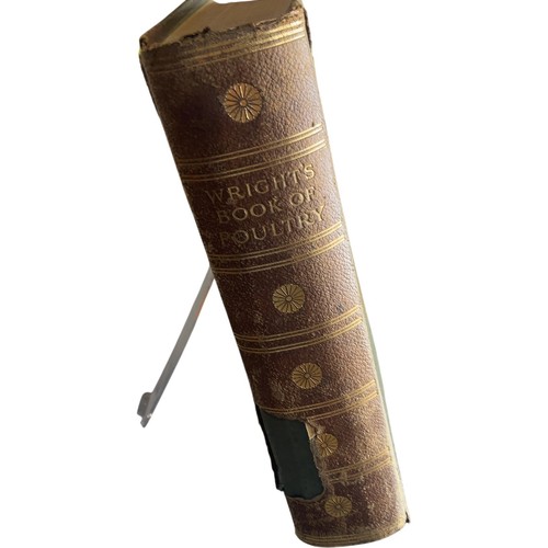 Wright book poultry lewer - wright's,