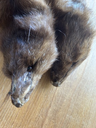 Vintage fur stole - fur, wrap