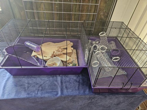 Double hamster cage with - ,