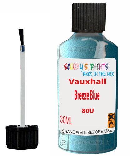 Paint for vauxhall chip - vauxhall, brush