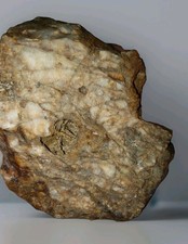 Quartz Vein Gold Ore From