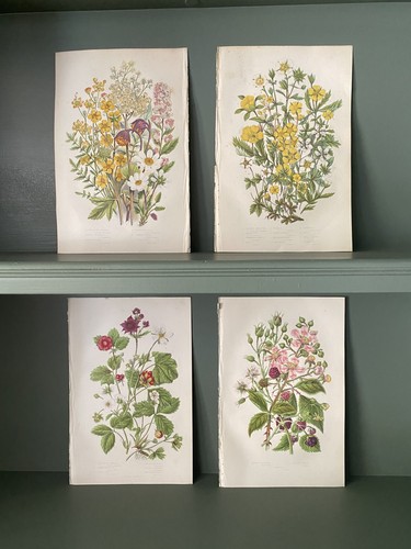 Set medium size - of, 4