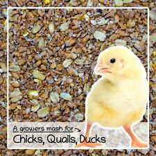 Chick Crumb Feed – Complete