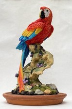 Scarlet Macaw Parrot on Rock