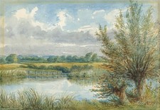 River In Rural Landscape -