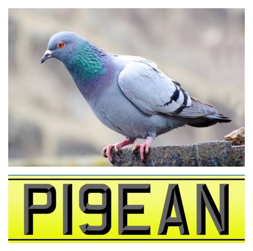 Pigeon private plate p19ean - private, plate,